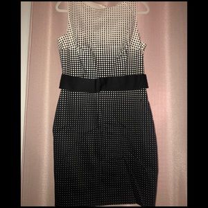 Brand New Ann Taylor Dress